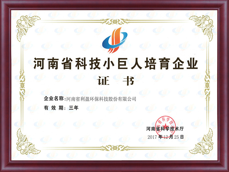 Henan Science and Technology Little Giant Cultivation Enterprise Certificate
